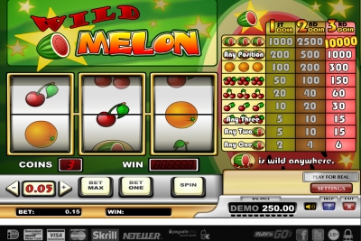 Wild Melon