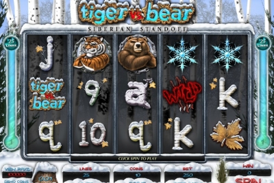 Tiger vs Bear
