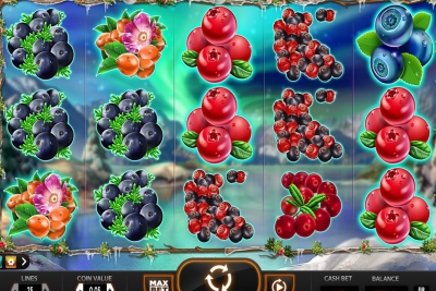 Winter Berries
