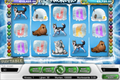 Icy Wonders